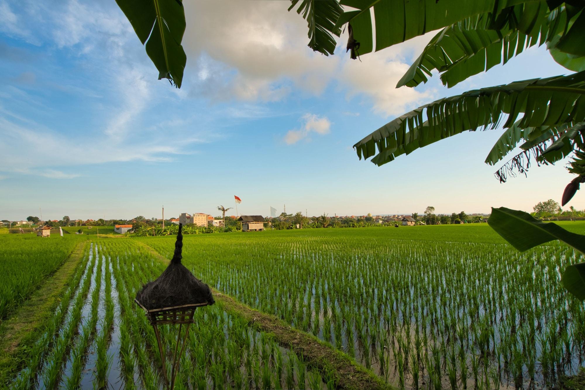 Sotis Villas Canggu Екстериор снимка